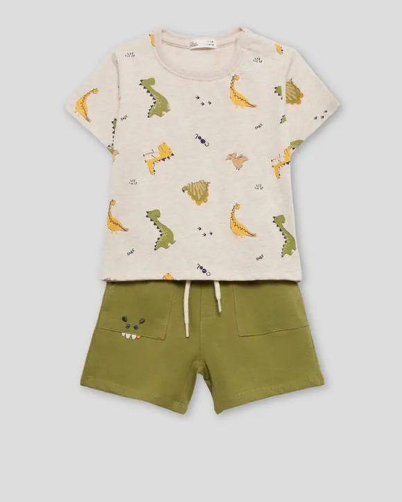 Coordinato dino